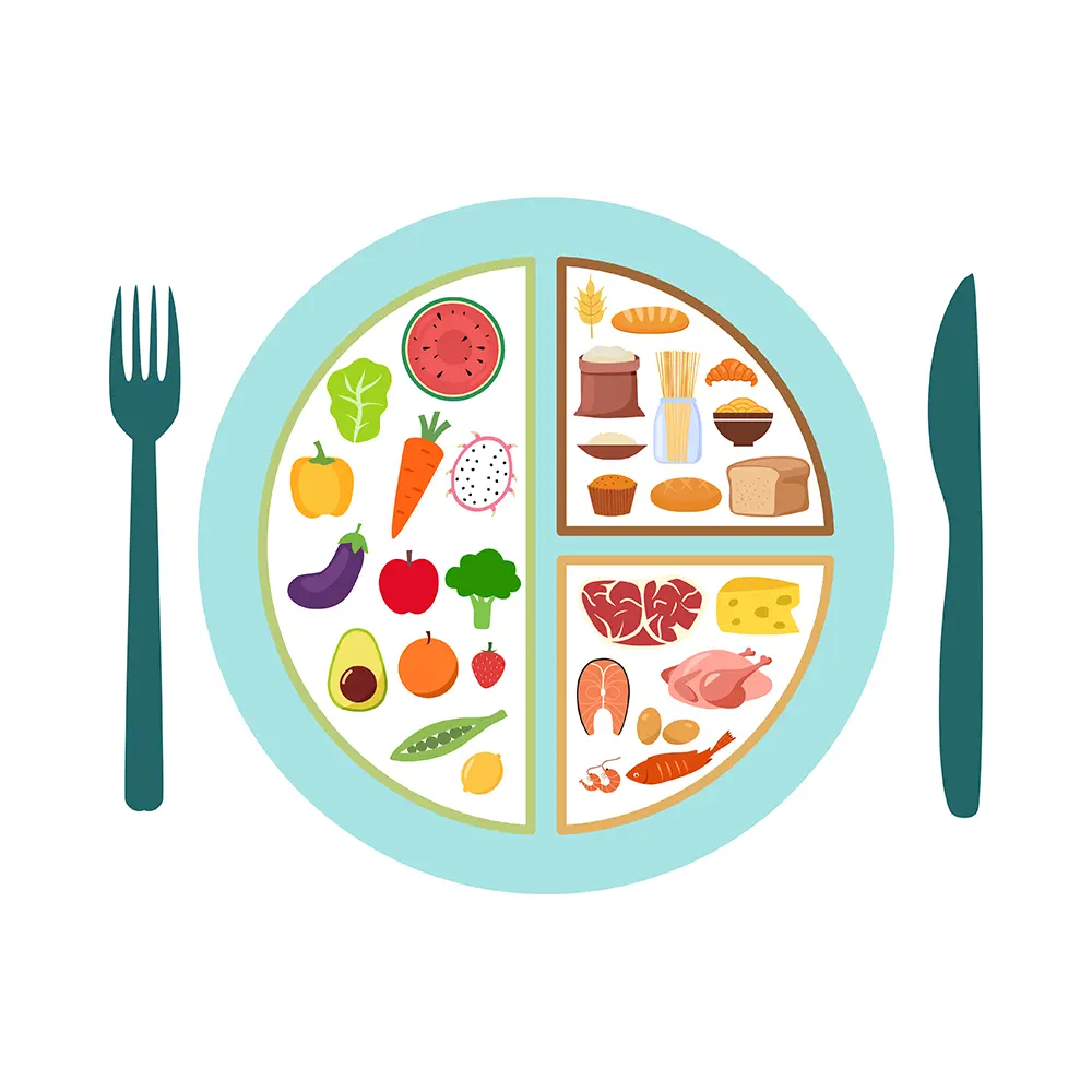Gesundes Essen Ernährung Konzept Vektor-Illustration. Gemüse, Mehle und Fleisch in flachem Design.